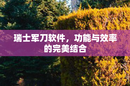 功能与效率的完美结合图片