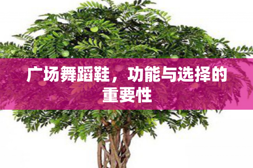 功能与选择的重要性图片