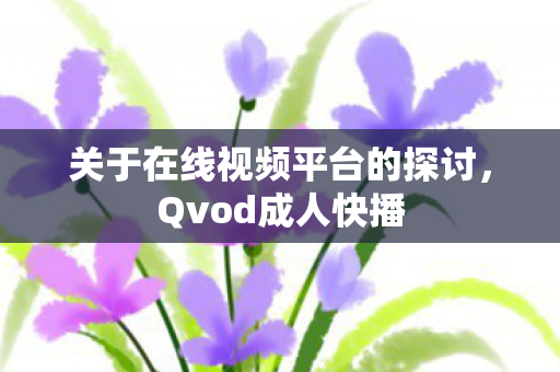 关于在线视频平台的探讨图片
