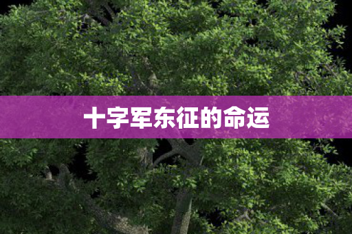 十字军东征的命运图片