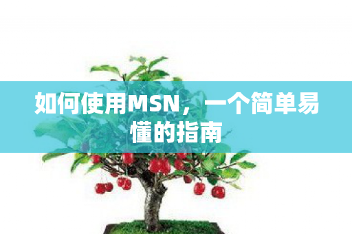一个简单易懂的指南图片