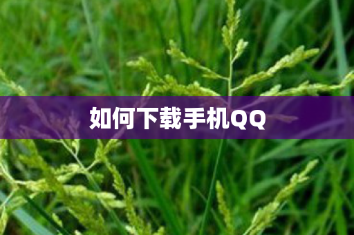 如何下载手机QQ图片