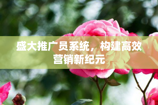 构建高效营销新纪元图片