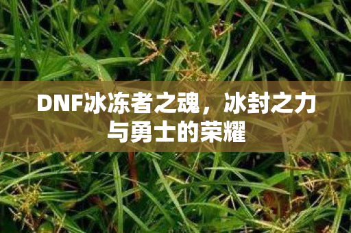 冰封之力与勇士的荣耀图片