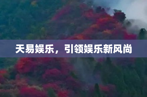 引领娱乐新风尚图片