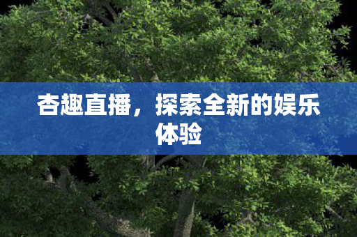探索全新的娱乐体验图片