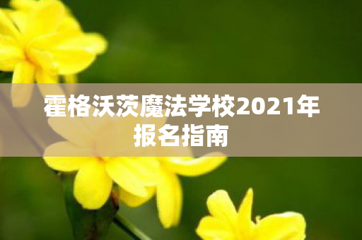 霍格沃茨魔法学校2021年报名指南图片