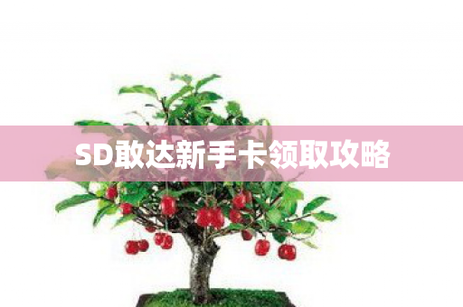 SD敢达新手卡领取攻略图片