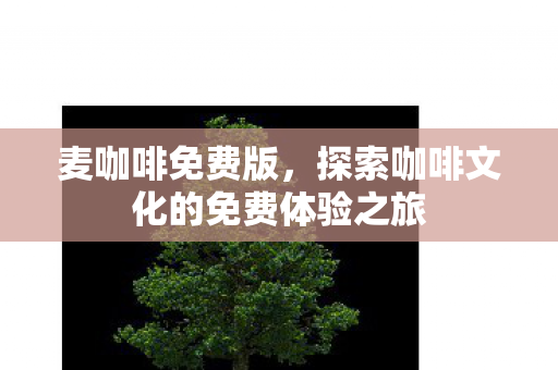 探索咖啡文化的免费体验之旅图片