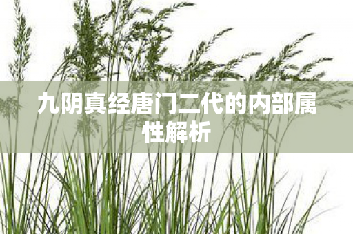 九阴真经唐门二代的内部属性解析图片