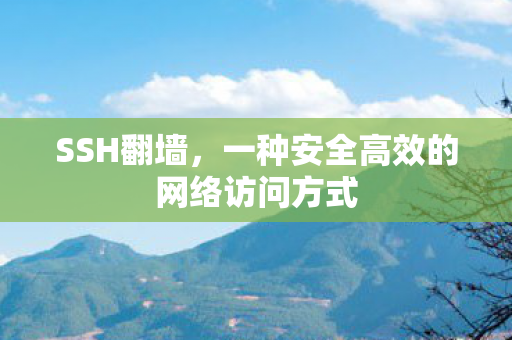 一种安全高效的网络访问方式图片