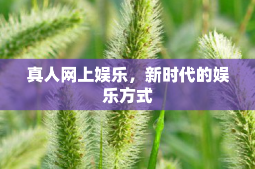 新时代的娱乐方式图片
