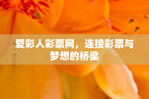 连接彩票与梦想的桥梁图片