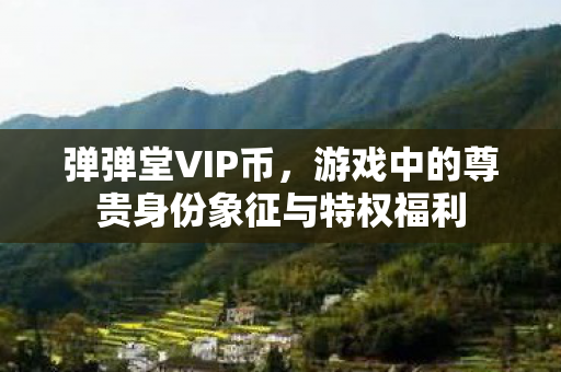游戏中的尊贵身份象征与特权福利图片