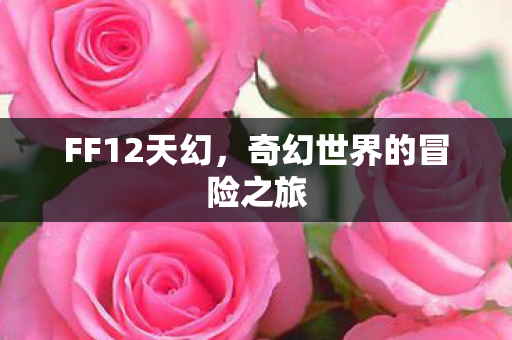 奇幻世界的冒险之旅图片