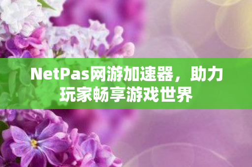 NetPas网游加速器图片