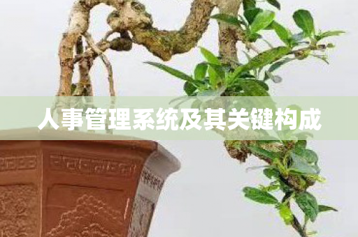人事管理系统及其关键构成图片