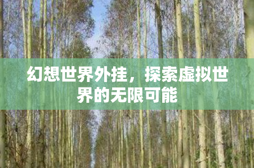 探索虚拟世界的无限可能图片
