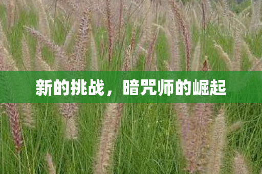 暗咒师的崛起图片