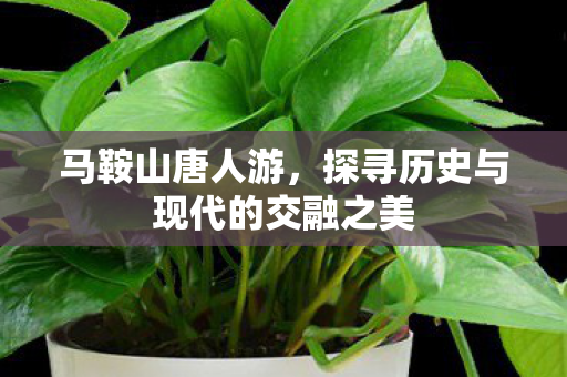 探寻历史与现代的交融之美图片