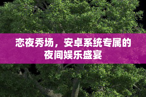 安卓系统专属的夜间娱乐盛宴图片