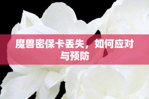 魔兽密保卡丢失图片