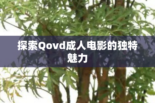探索Qovd成人电影的独特魅力图片
