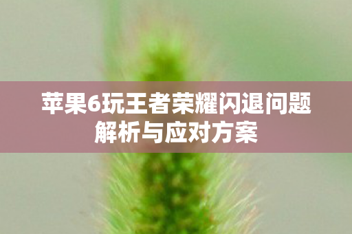 苹果6玩王者荣耀闪退问题解析与应对方案图片