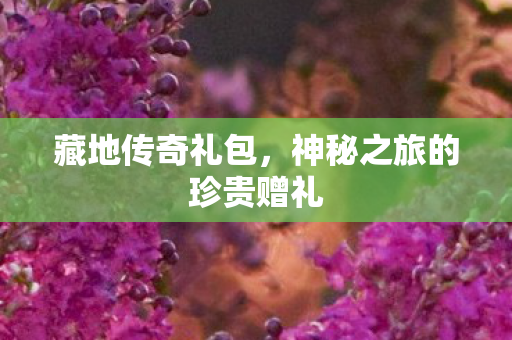 神秘之旅的珍贵赠礼图片