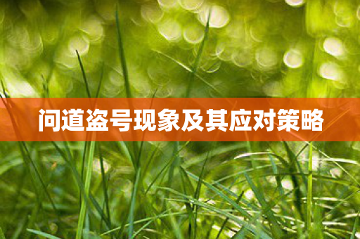 问道盗号现象及其应对策略图片
