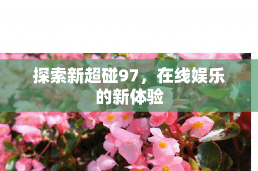 在线娱乐的新体验图片