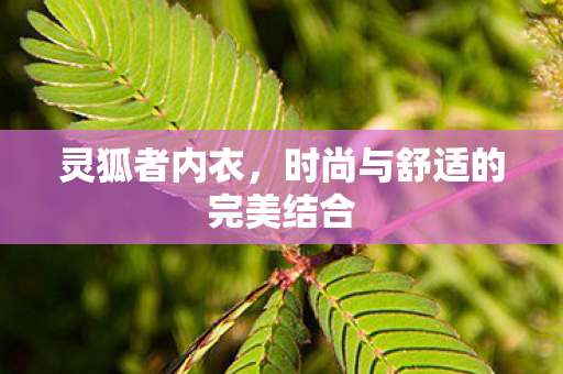 时尚与舒适的完美结合图片