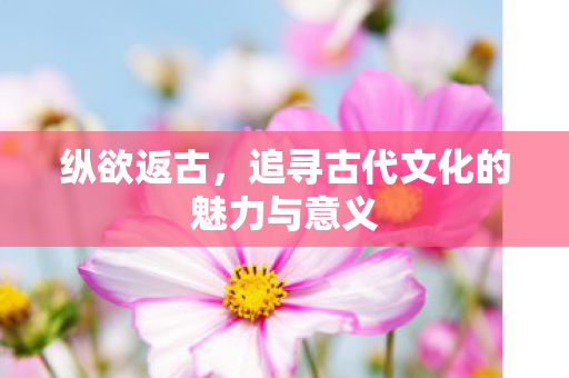 追寻古代文化的魅力与意义图片