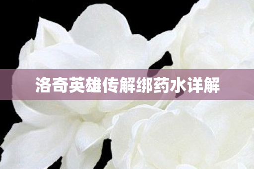 洛奇英雄传解绑药水详解图片
