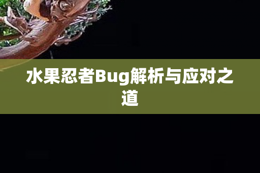 水果忍者Bug解析与应对之道图片