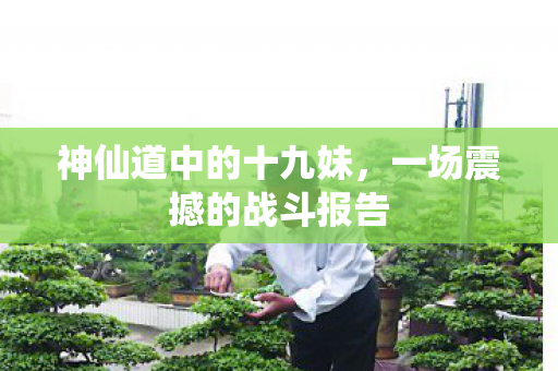 一场震撼的战斗报告图片
