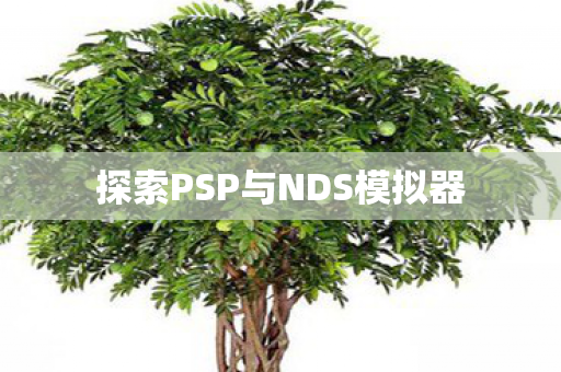 探索PSP与NDS模拟器图片