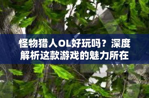 深度解析这款游戏的魅力所在图片