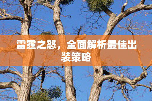 全面解析最佳出装策略图片