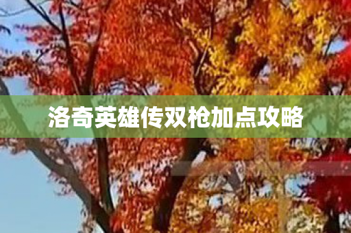 洛奇英雄传双枪加点攻略图片