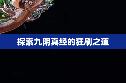 探索九阴真经的狂刷之道图片