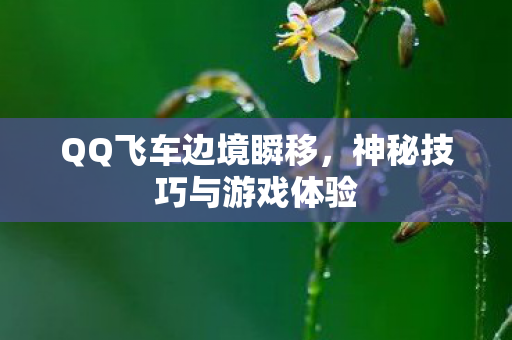 神秘技巧与游戏体验图片