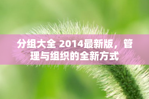 分组大全 2014最新版图片