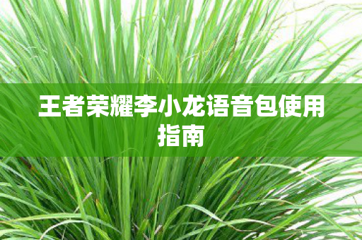王者荣耀李小龙语音包使用指南图片