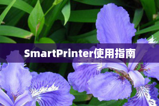 SmartPrinter使用指南图片