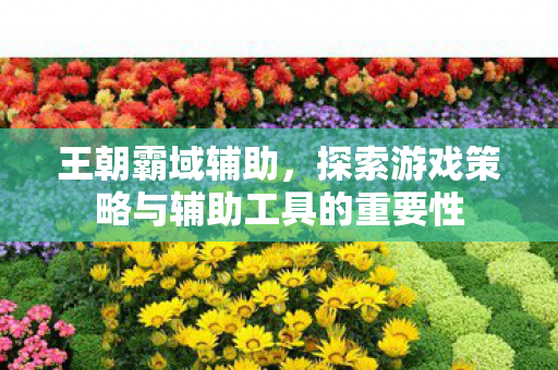探索游戏策略与辅助工具的重要性图片