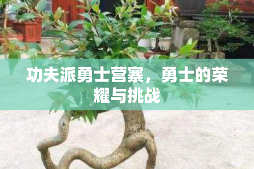 勇士的荣耀与挑战图片