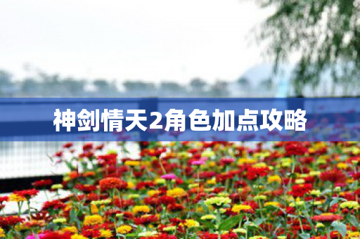 神剑情天2角色加点攻略图片