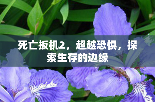 探索生存的边缘图片