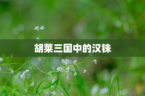 胡莱三国中的汉铢图片